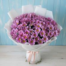 Букет сиреневая охапка в Алабино Букет цветов из:  Хризантемы в Алабино